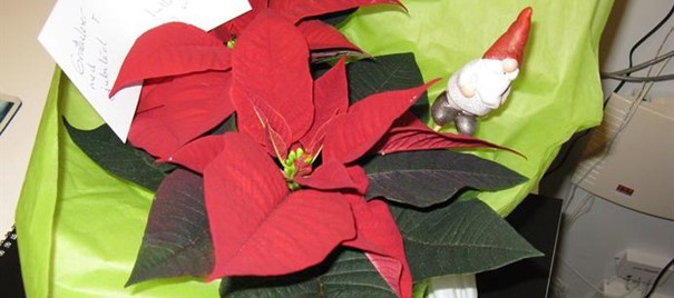 Årsmøtet 2018 avviklet